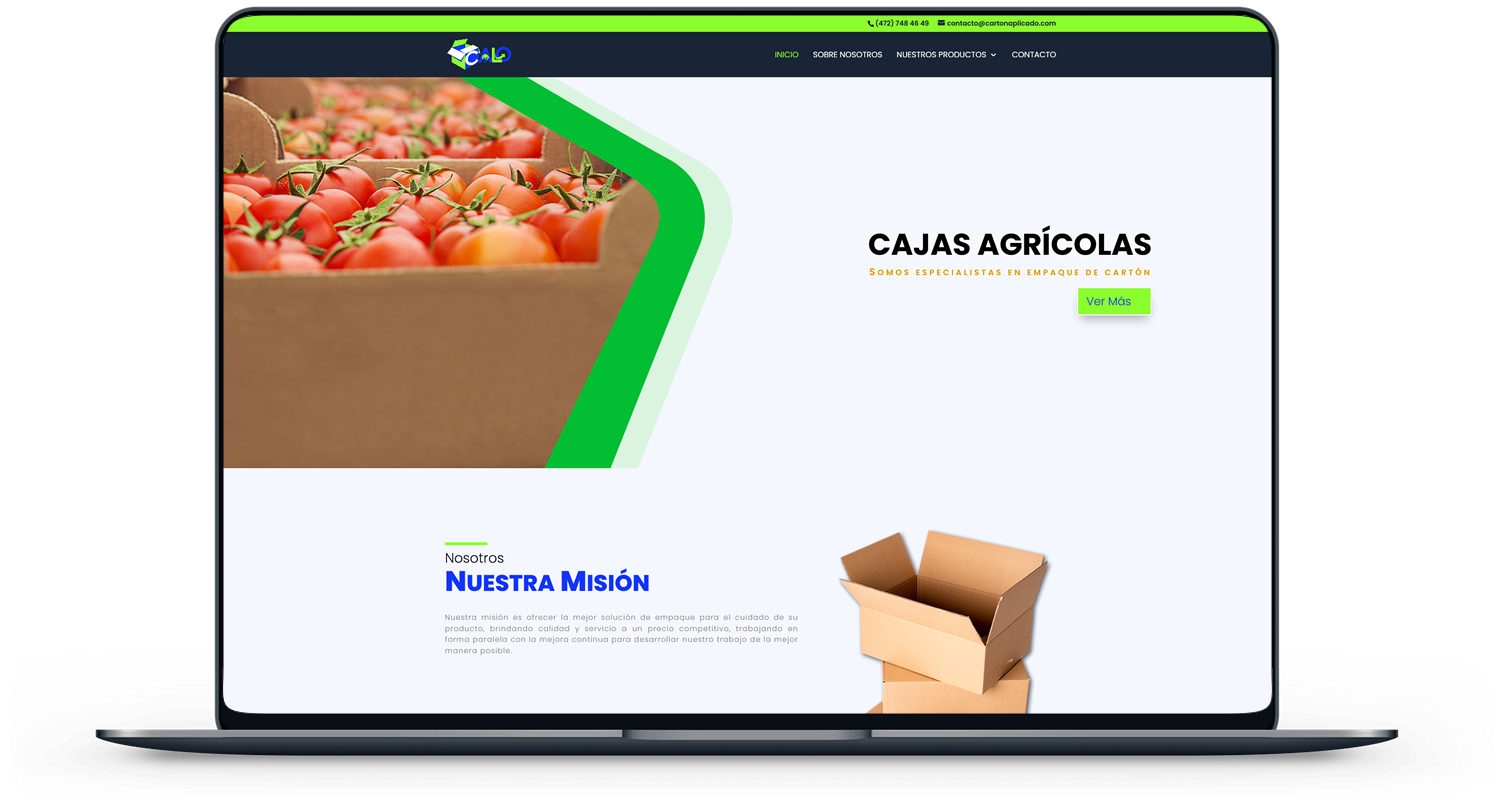 Calo, Cartonaje Aplicado